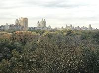 IMG_7997.JPG