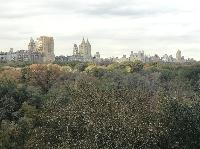 IMG_7998.JPG