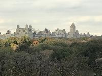 IMG_8006.JPG