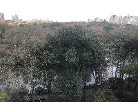 IMG_8013.JPG