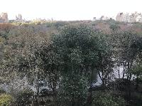 IMG_8015.JPG