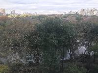 IMG_8016.JPG