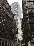 IMG_8039.JPG