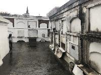 IMG_1225.JPG