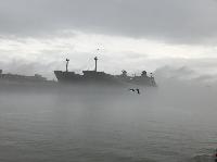 IMG_1955.JPG