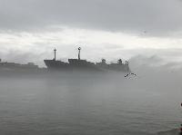 IMG_1957.JPG