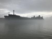 IMG_1973.JPG