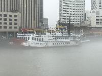 IMG_2237.JPG
