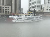 IMG_2242.JPG