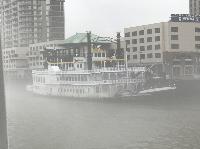 IMG_2379.JPG