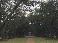 IMG_0883.JPG