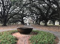 IMG_0932.JPG
