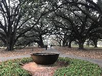 IMG_0935.JPG