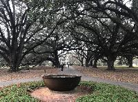 IMG_0938.JPG