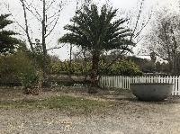 IMG_0954.JPG