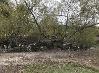 IMG_0956.JPG