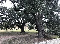 IMG_0990.JPG