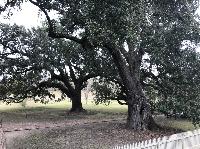 IMG_0992.JPG