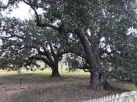 IMG_0995.JPG