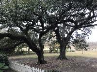IMG_0998.JPG