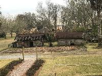 IMG_1017.JPG