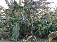 IMG_1067.JPG