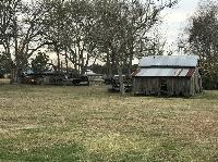 IMG_1074.JPG
