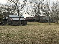 IMG_1077.JPG