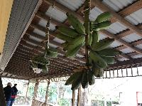 IMG_6180.JPG
