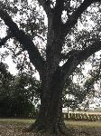 IMG_6187.JPG