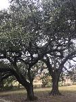IMG_6199.JPG