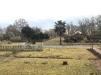 IMG_6220.JPG