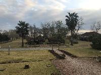 IMG_6226.JPG