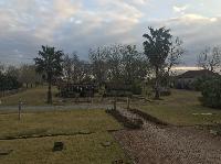 IMG_6227.JPG