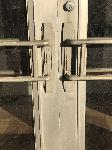 IMG_9567.JPG