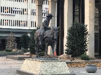 IMG_9619.JPG
