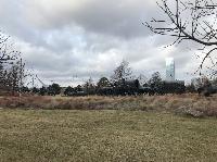 IMG_9710.JPG