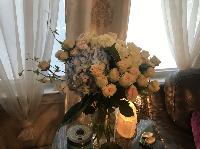 IMG_5431.JPG