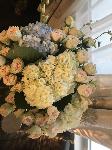 IMG_5439.JPG