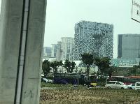 IMG_8996.JPG