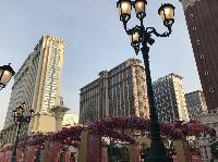 IMG_9072.JPG