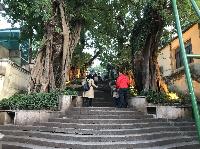 IMG_9081.JPG