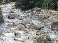 IMG_0611.JPG