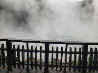 IMG_0675.JPG