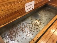 IMG_0724.JPG