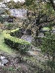 IMG_4593.JPG