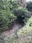 IMG_4594.JPG