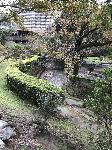 IMG_4595.JPG
