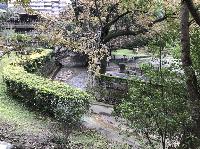 IMG_4596.JPG