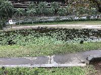 IMG_4597.JPG